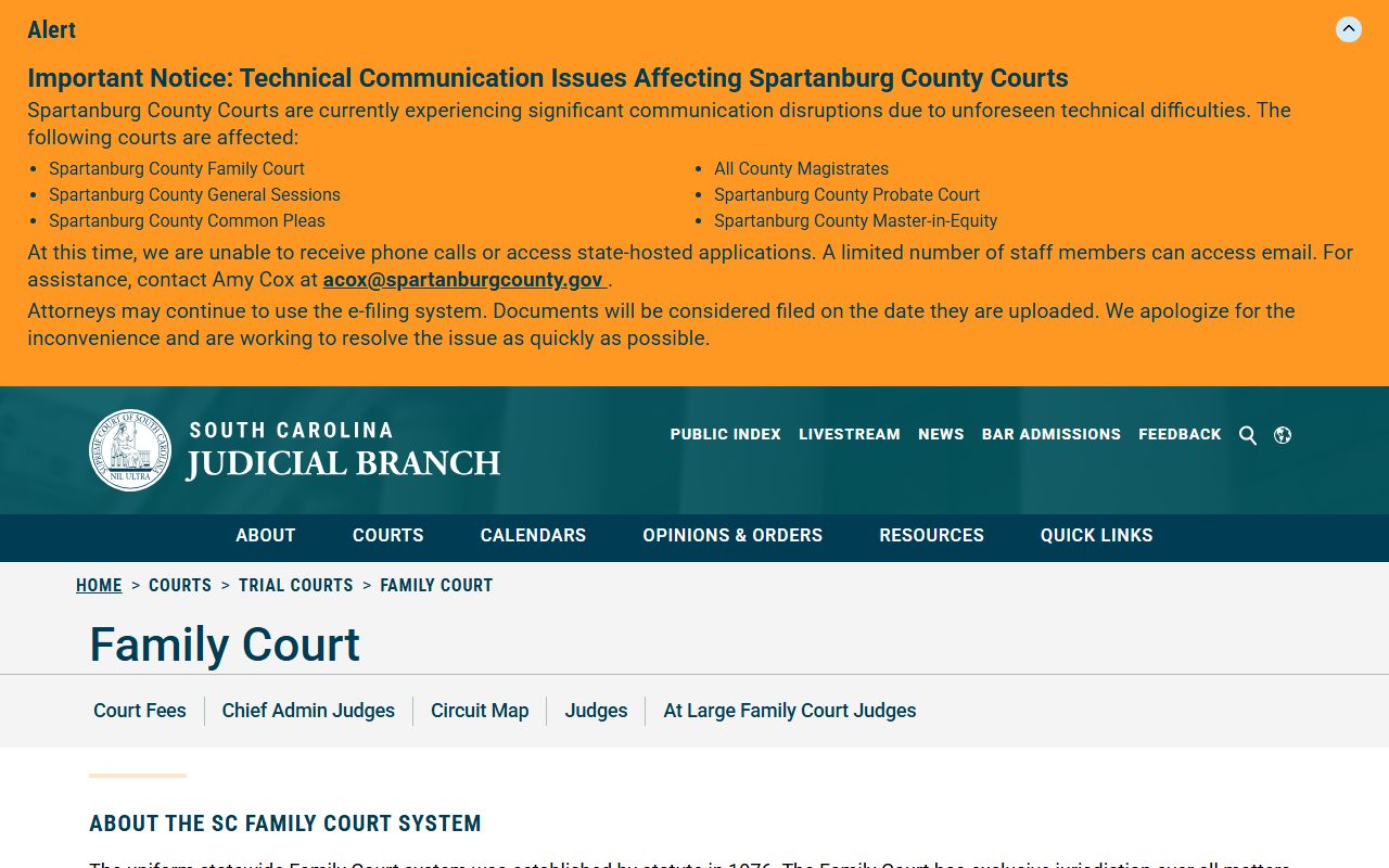 Edgefield County criminal court records Family Court juvenile limits