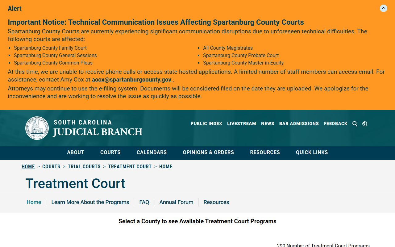 Edgefield County inmate search treatment court and custody distinction